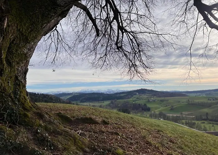 Berghof Erlebnis - Event-location Auf Dem Land By Interhome Дом отдыха *